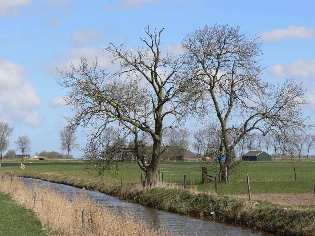 Groningen Buiten B&B Zuidhorn Εξωτερικό φωτογραφία