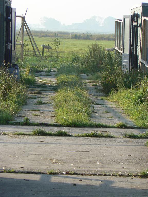 Groningen Buiten B&B Zuidhorn Εξωτερικό φωτογραφία