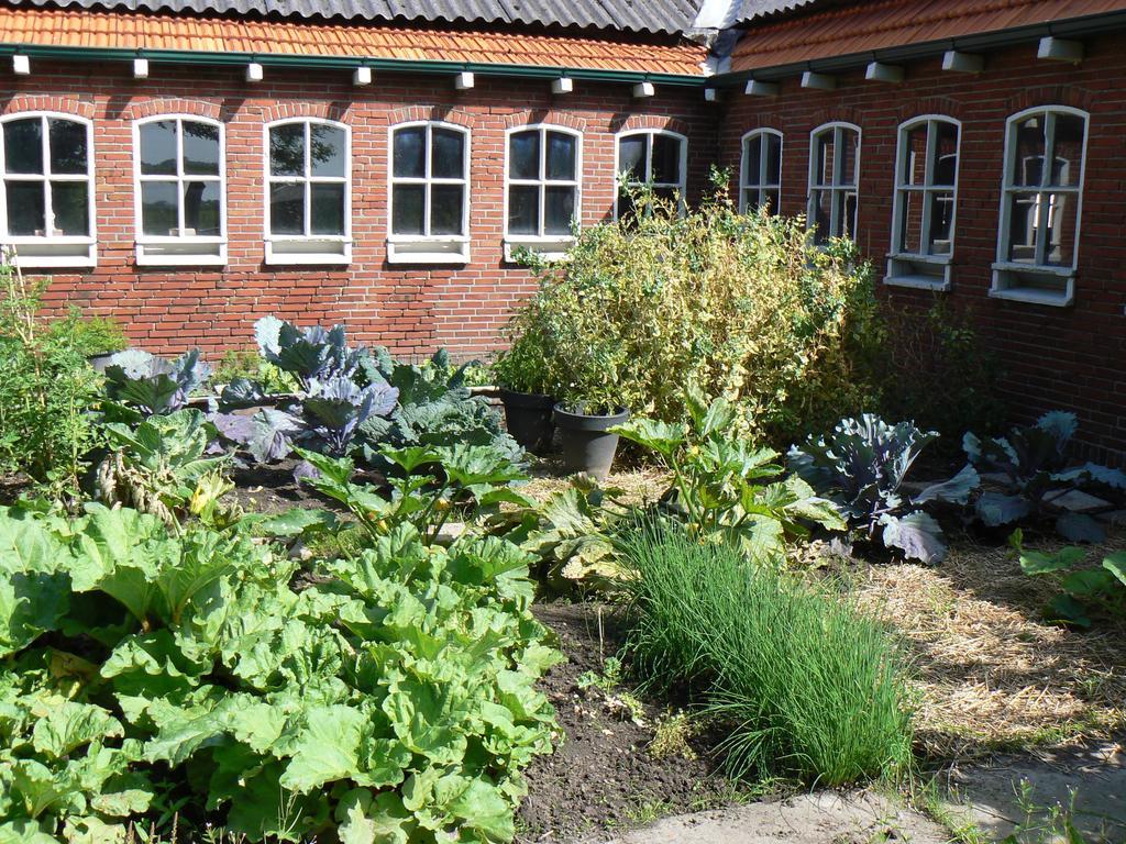 Groningen Buiten B&B Zuidhorn Εξωτερικό φωτογραφία