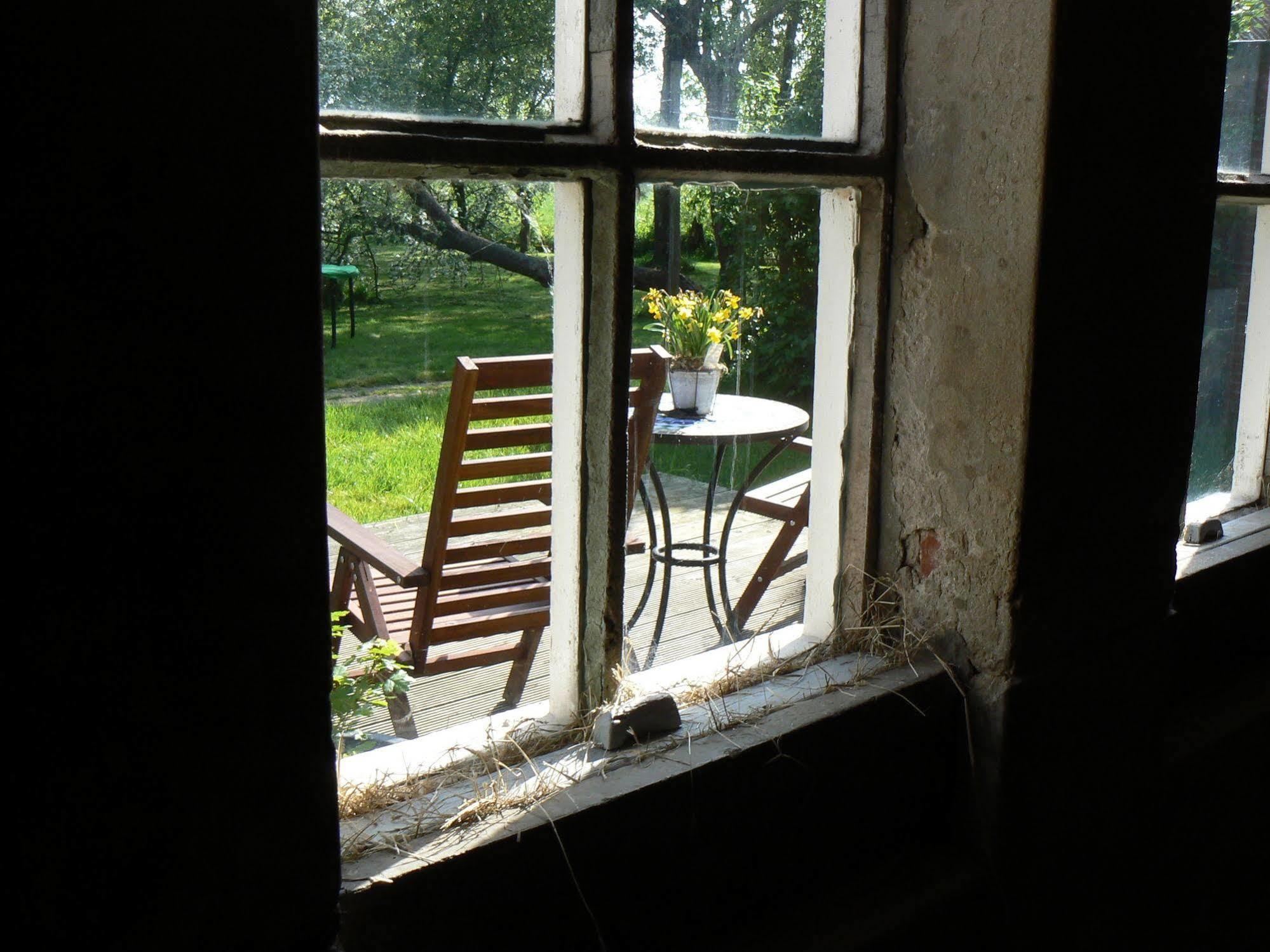 Groningen Buiten B&B Zuidhorn Εξωτερικό φωτογραφία